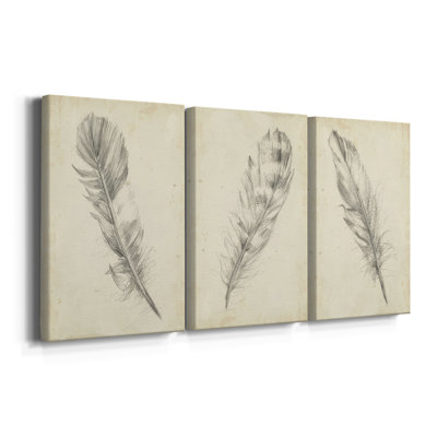 Feather Sketch I  -Custom Wrapped Gallery Canvas - 3 Pieces