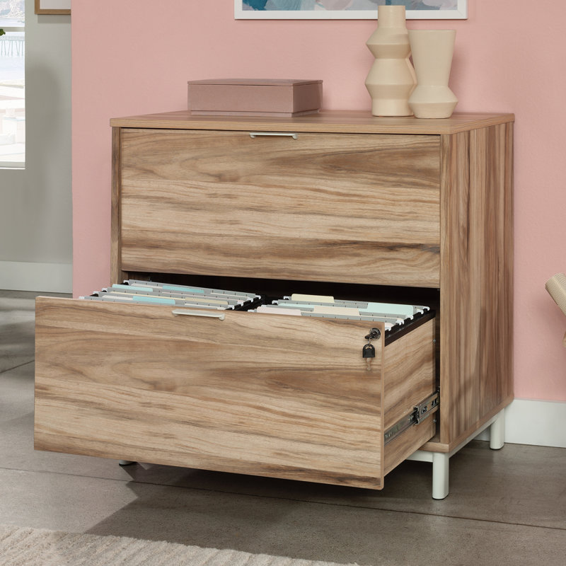 Armoire de rangement pour bureau personnel
