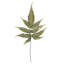 0,0625 plante
