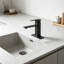 Robinet de salle de bain à poignée unique, robinet pour lavabo vasque en acier inoxydable SUS à entraxe central avec trop-plein escamotable et tuyaux d'alimentation-136060865