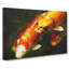 Koi Fish - Wrapped Canvas-64020765