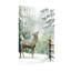 Animaux, hiver, cerf, bouleaux, neige, clôture cardinal-1571566488