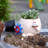 Adorable Smiley Face Beach - style Planter: With Drainage Hole, Fits Small Plants, Unique Festival Gift Option