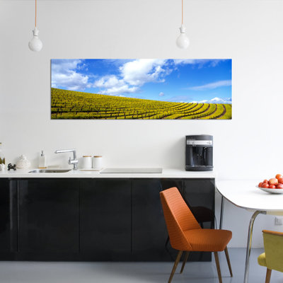 " Mustard Fields, Napa Valley, California, USA " Color Photography