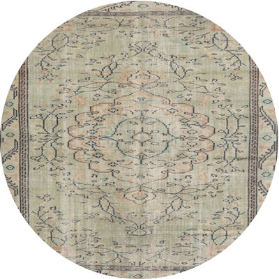 Claudino Oriental Indoor Rug