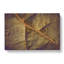 Paths Of The Leaf - Wrapped Canvas-55340503