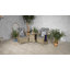 WENTWORTH 2 Seater Highback Comfort Round Bistro Set (1 x 70cm Round Table & 2 x Chairs inc Cushions)