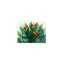 «Tropics Plants», art mural sur toile 24 po x 18 po