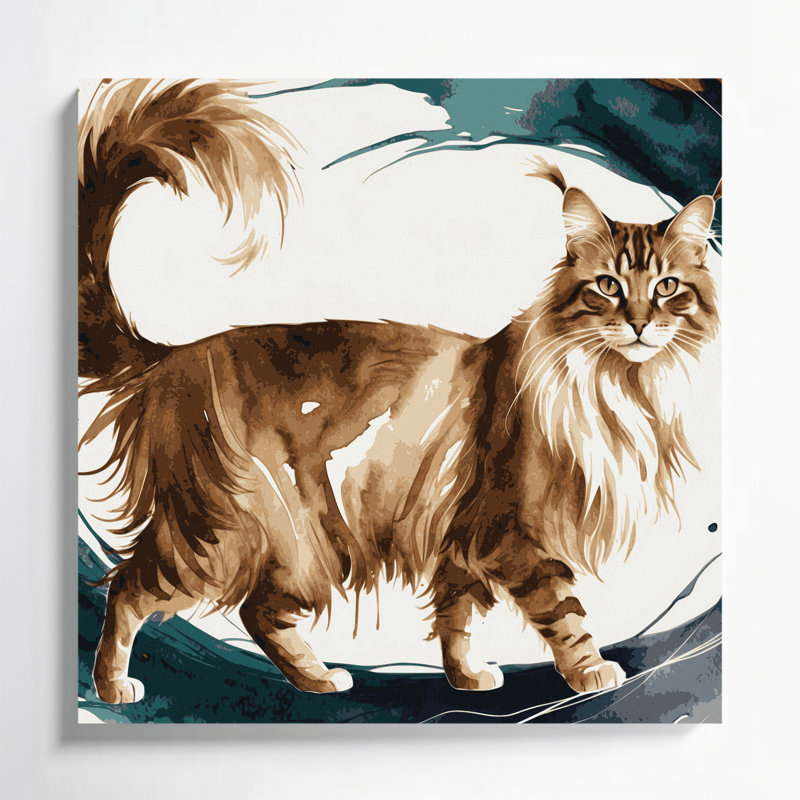 Cats Somali, art mural sur toile blanche, H 12 po x l 12 po