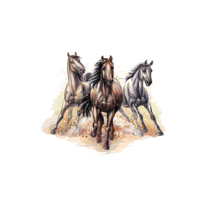 Murale pelez et collez de qualité supérieure - Chevaux au galop