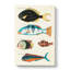 East Indies Fish Illustrations Fol. 22 by John Edward Gray - Wrapped Canvas Painting-55342708