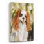 «Cavalier King Charles» par Solveiga-57166006