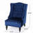 Danni-Lee Tufted High Back Accent Chair Club Chair Upholstered Chair Wingback Chair Living Room Chair-1628536781