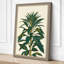 Study Botanical - Wrapped Canvas-131762659-131762660
