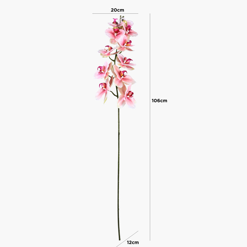 Orchid Arrangement, Pink