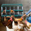 Nesting Boxes