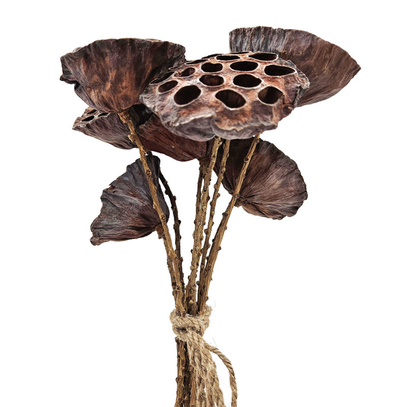 Rope Lotus Pod  Set of 6  23.5"  Natural