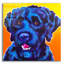 «Chien d'eau portugais - Banques» par Dawg Painter-323975818