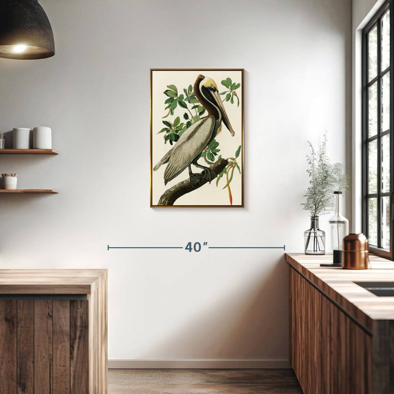Pélican Audubon, Cadre flottant doré, 21 po x 31 po