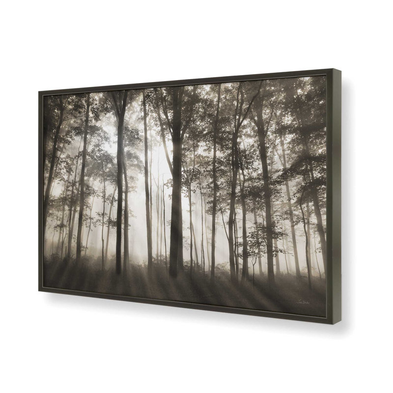 «Forest Illumination» par Lori Deiter, reproduction d'art, L 18 po x H 12 po, Noir, Framed Print