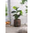 Pot Planter-69174204