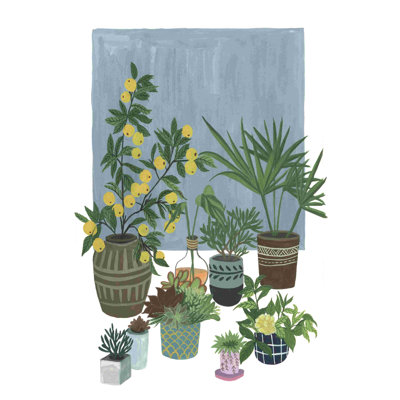 Un portrait de plantes II