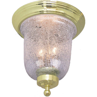 Lanark 2-Light Indoor Polished Brass Ceiling Mount Fixture with Clear Seedy Glass Bell Shade