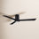 Olivier Ceiling Fan with LED Light Kit