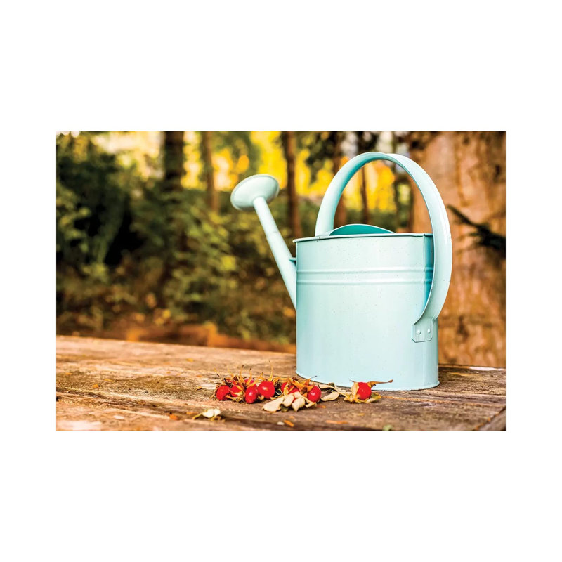 Countryside Watering Can And Wild Apples by Nik Rave - Gallery-Wrapped Canvas Giclée on Canvas, Wrapped Canvas