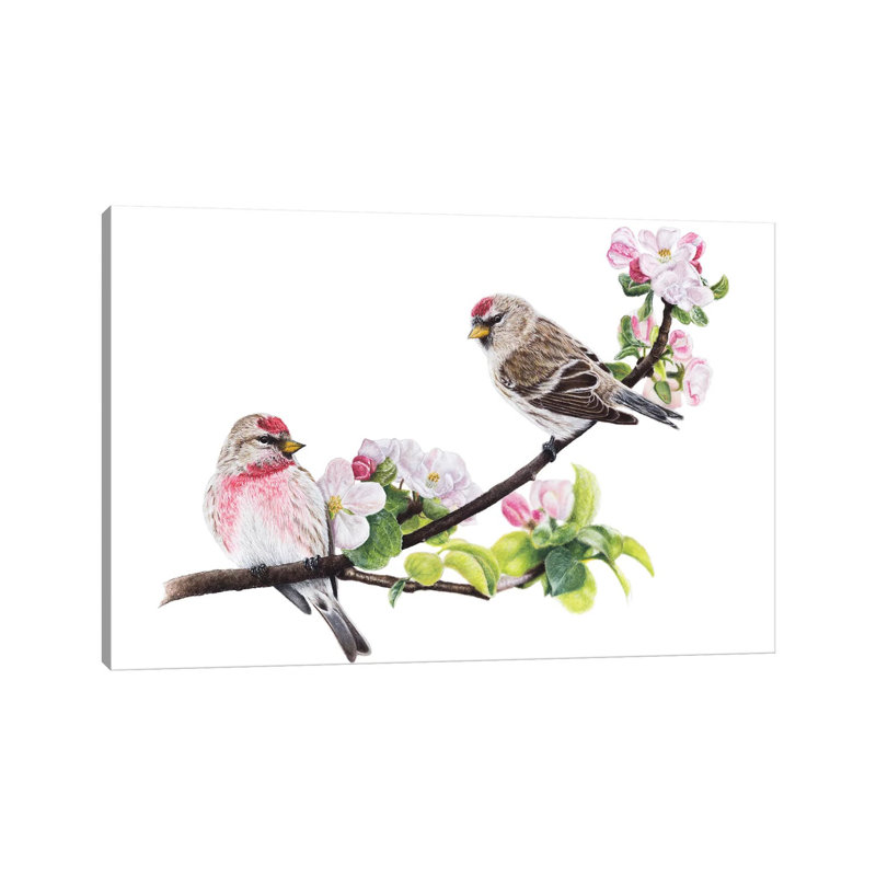 Common Redpolls par Mikhail Vedernikov - Toile tendue, estampe numérique sur toile tendue, H 12 po x l 18 po x 1,5 po