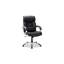 Anesicia Desk Chair-2016486867