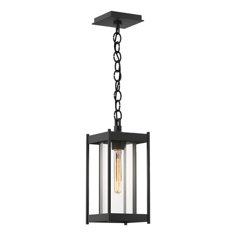 Cela Outdoor Pendant, 14.1" H x 6.2" W x 6.2" D, Clear, Coastal Black