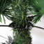 6.89' H Lighted Artificial Spruce Christmas Tree