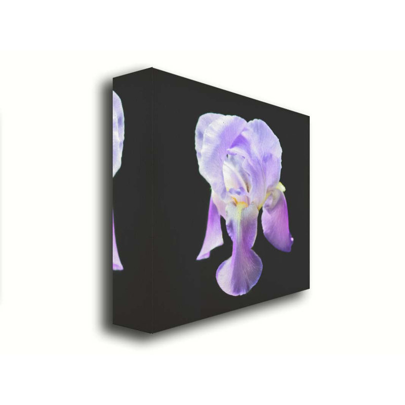 Iris on Black par Hal Halli. Toile giclée sur toile tendue avec cadre flottant, Toile tendue, Ne s’applique pas