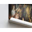 Print on Canvas-625392021-625392024