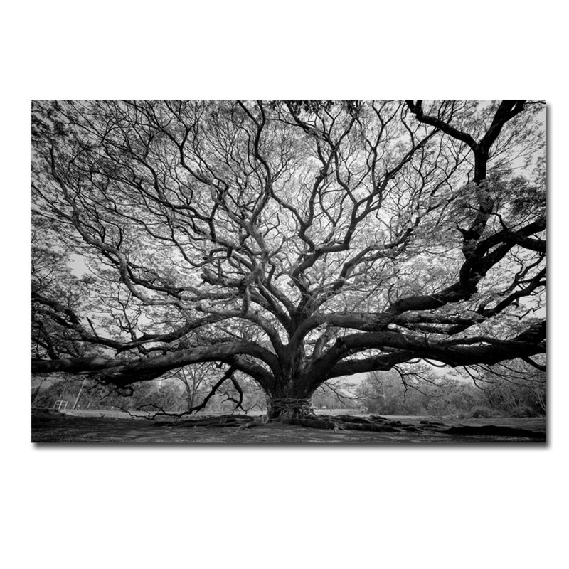 Tree Of Wisdom Print, 16" H x 20" W x 1.5" D