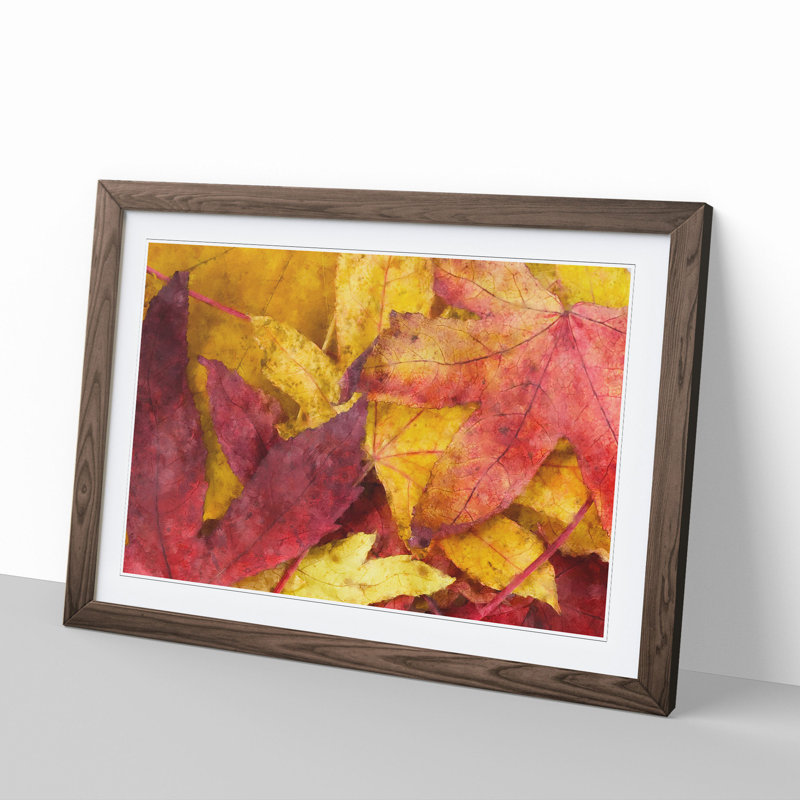 Autumn Leaves Vol.1 - Picture Frame Graphic Art, 27cm H x 36cm W x 2cm D, Walnut Framed