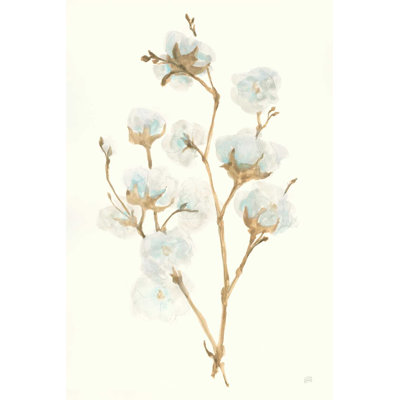 Coton d'été II