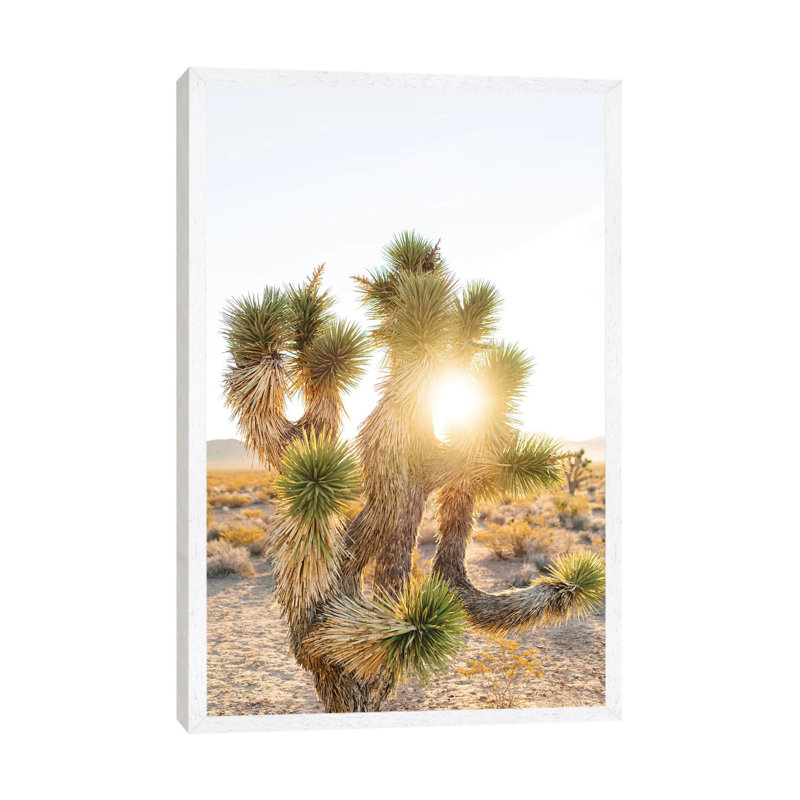 Joshua Tree Sunrise by Bethany Young - Print on Canvas, 101.6cm H x 66.04cm W x 3.81cm D, White Framed