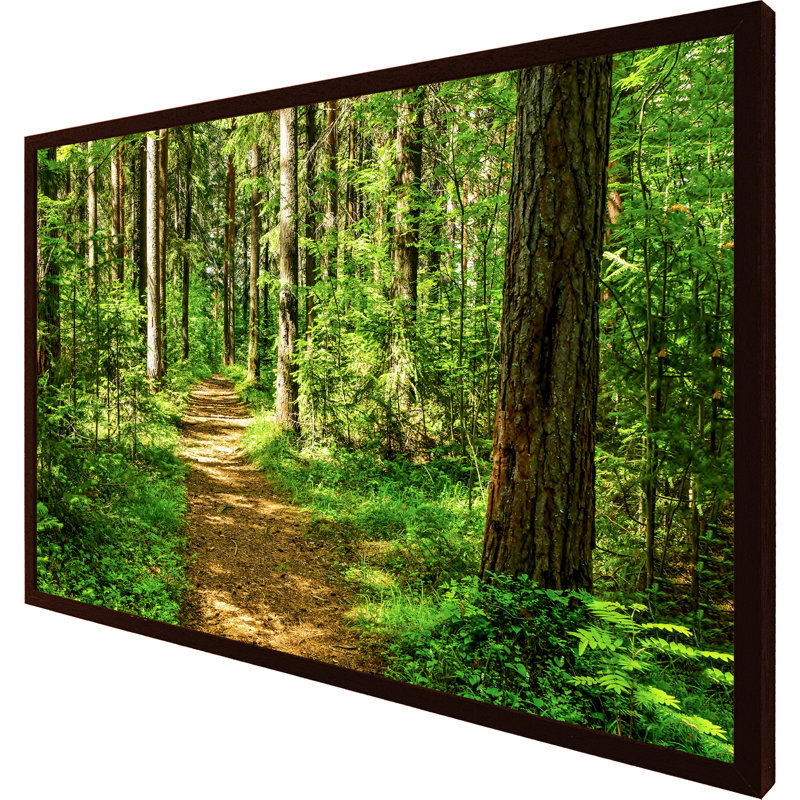 Zolotas Single Picture Frame Print, 76cm H x 114cm W x 4cm D, Brown Framed