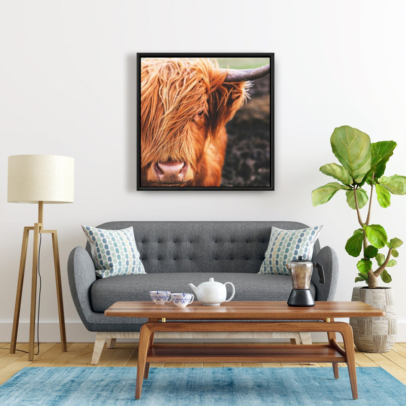 Portrait d'une vache Highland encadrée, Hygge, H 25,25 po x l 25,25 po