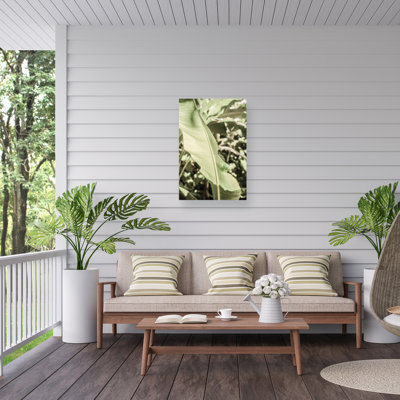Bolog Lime Lightning On Canvas Print
