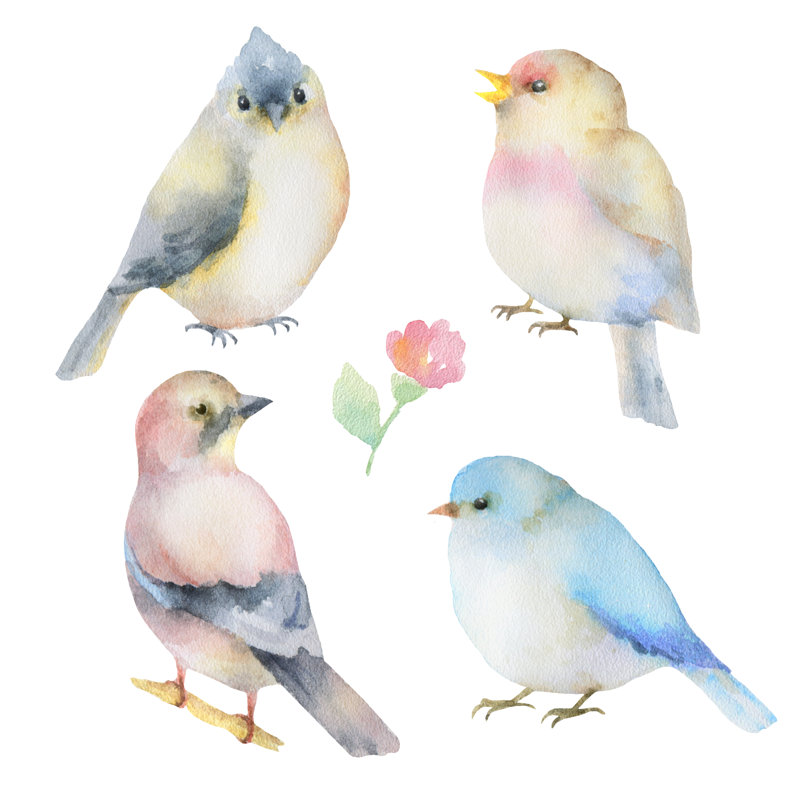 Ensemble d'oiseaux, H 30 po x l 30 po