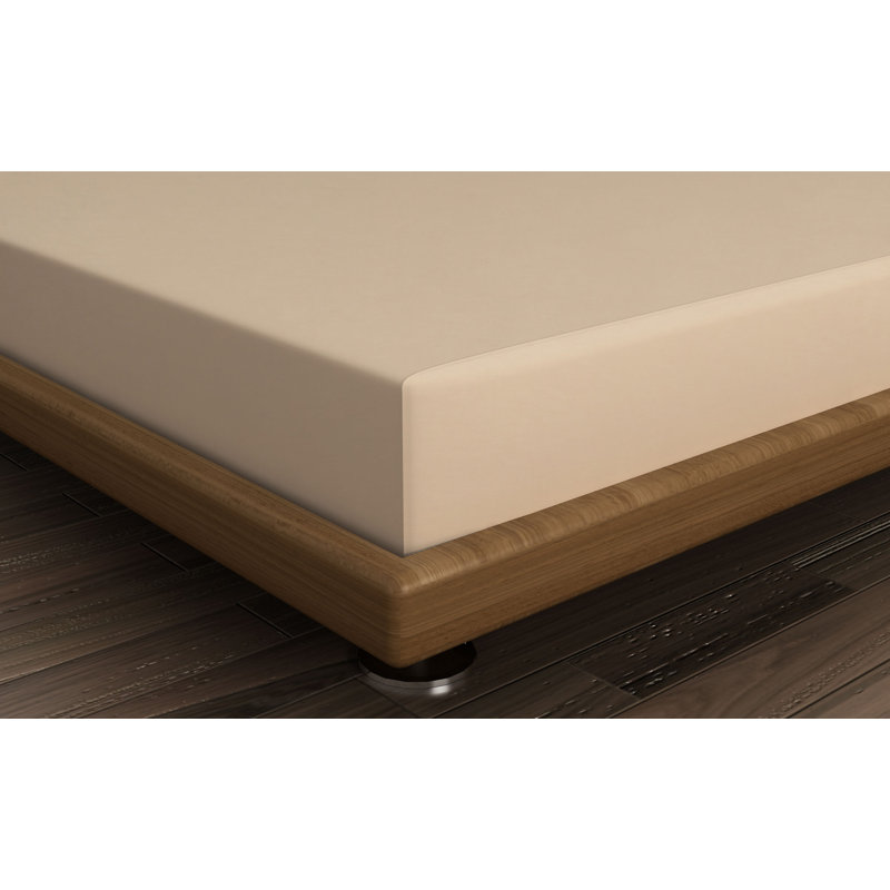 Premium Ranforce Single Fitted Sheet, Beige, 35.4 x 74.8 + 9.8 inches | 100% Cotton, 142 Thread Count, Antibacterial Protection, Sanforized | Machine Washable at 30°C | Soft, Durable, and Comfortable Bedding