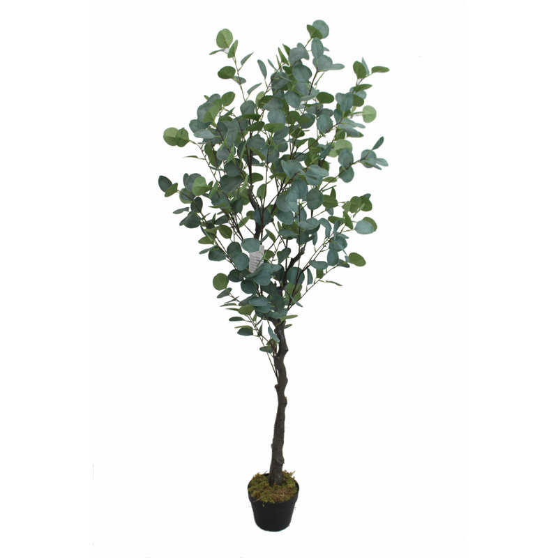 Faux Eucalyptus Plant in Pot, 165"H x 50"W