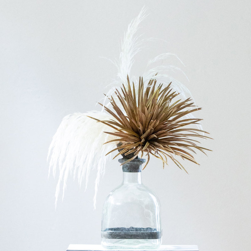 Pampas Handmade Decorative Bottles