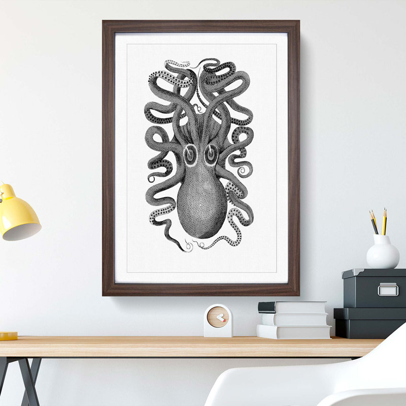 Octopus in Black and White by George Shaw - Picture Frame Drawing Print on MDF, Walnut Framed, 65cm H x 48cm W x 2cm D