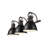 Iftimie 3-Light Bath Vanity-71283488-71283503