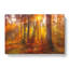 Mystery Forest - Wrapped Canvas Print-56632939