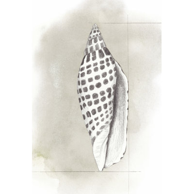 Shell Diagram IV by Grace Popp - Wrapped Canvas Print